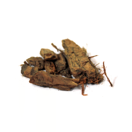 Arjuna Bark (Arjun Ki Chaal)