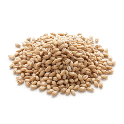 Barley (Joo)
