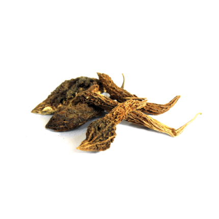 Bitter Gourd Dry (Karela Khushk)