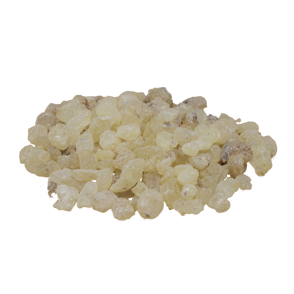 Black Dammar (Chandras)