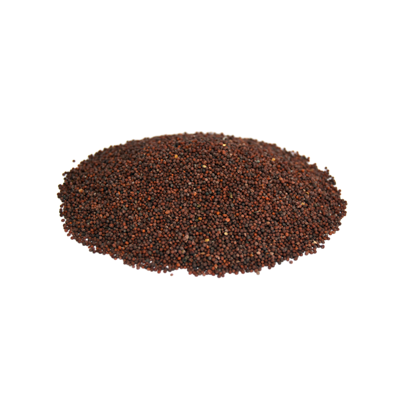 Black Mustard Seeds (Rai)