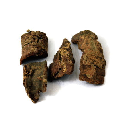 Box Myrtle (Kath Phal)