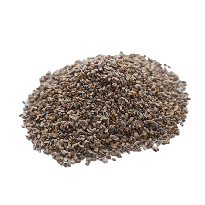 Carrot Seeds (Tukhm-e-Gajar)