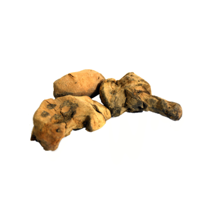 China Root (Chob Cheeni)