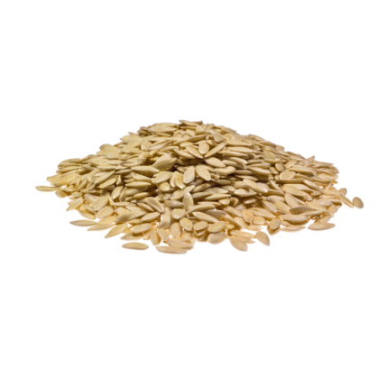 Cucumber Seeds (Tukhm-e-Khayareen)