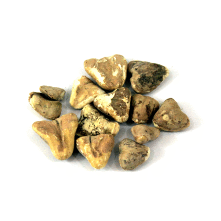 Dried Water Chestnuts (Singhara Khushk)